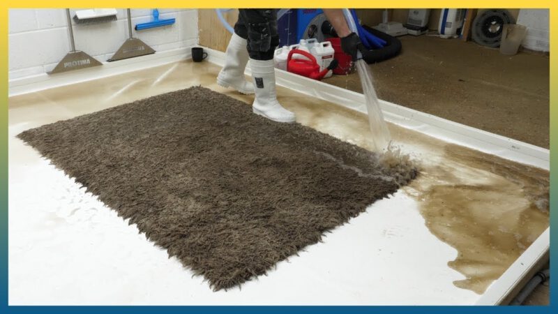 How to Get the Most Out of Carpet Cleaning